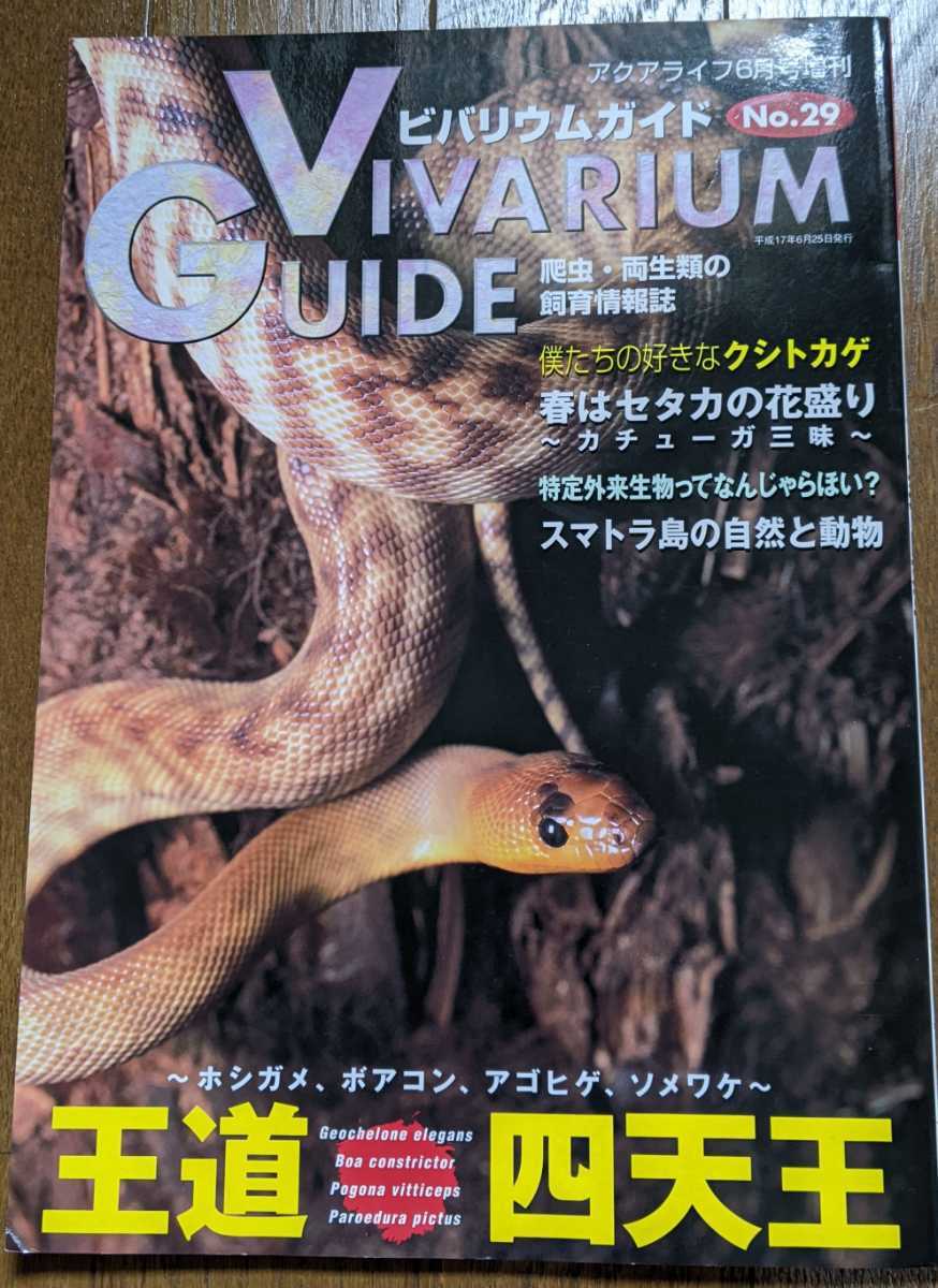 初期ビバリウムガイド 10冊セット① 初期ビバリウムガイド 10冊セット① ビバリウムガイド 10冊セット③