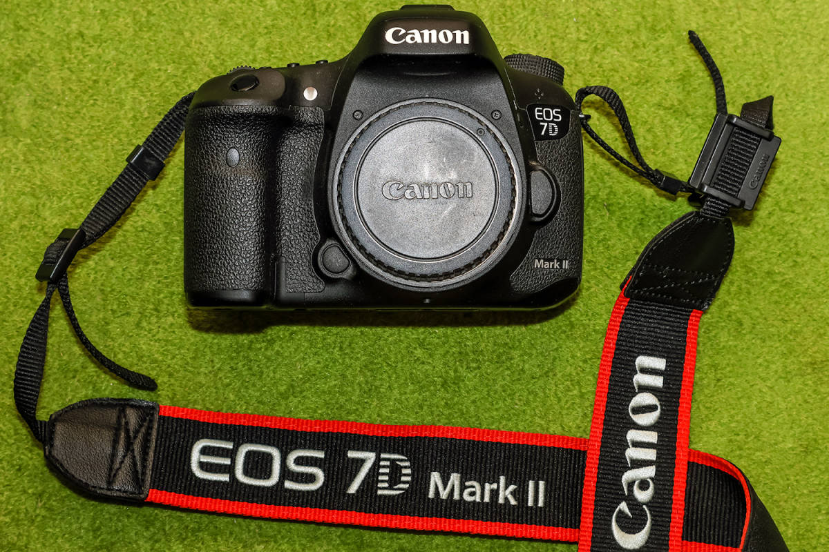 EOS 7D Mark EOS7DMK2の通販 IIボディ T3374587 キヤノン EOS 7D Mark 