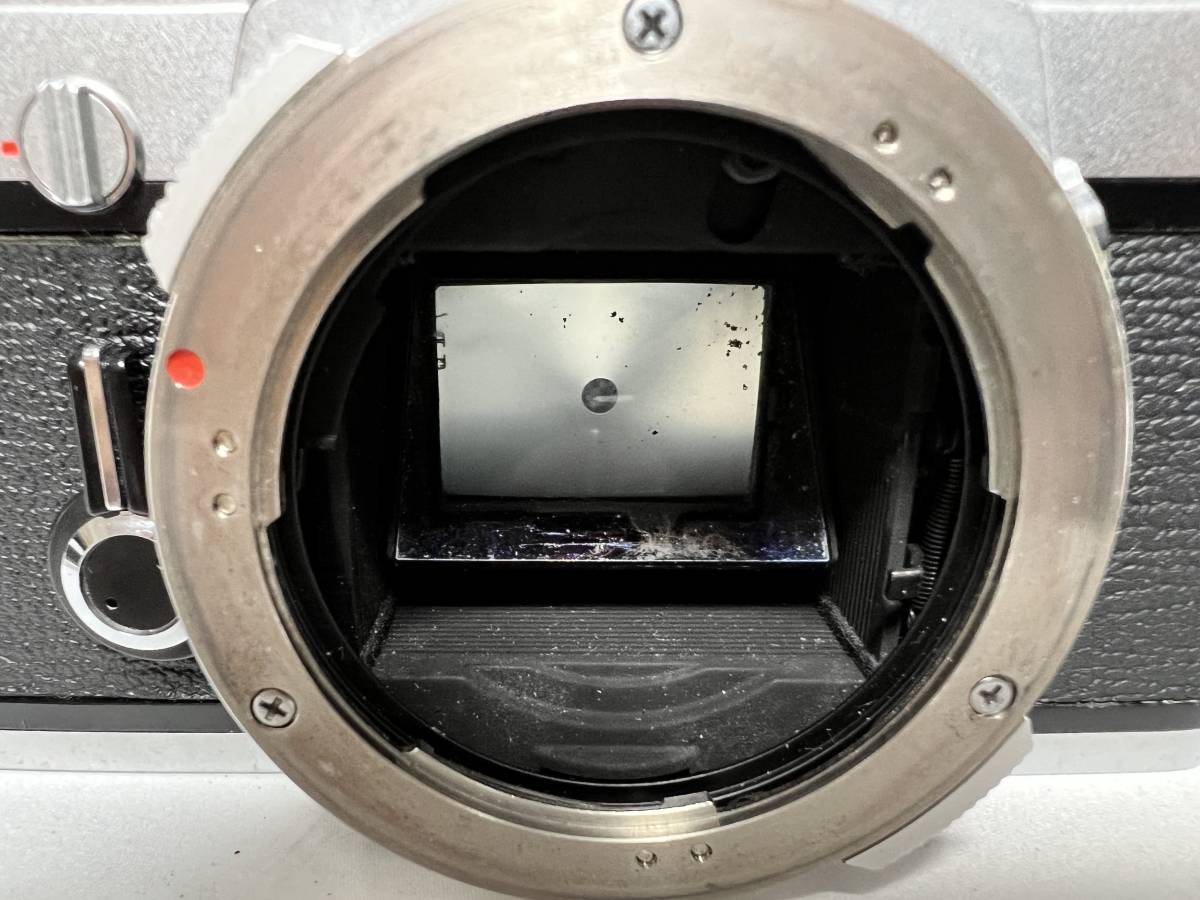 OLYMPUS オリンパス OM-1 + OM-SYSTEM G.ZUIKO AUTO-S 1:1.4 f=50mm 一眼