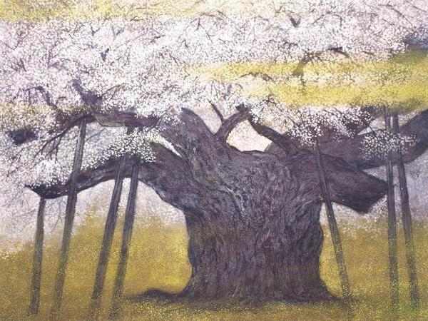 伊藤嘉晃 『淡墨桜』 リトグラフ（石版画）中古送料込み Yahoo