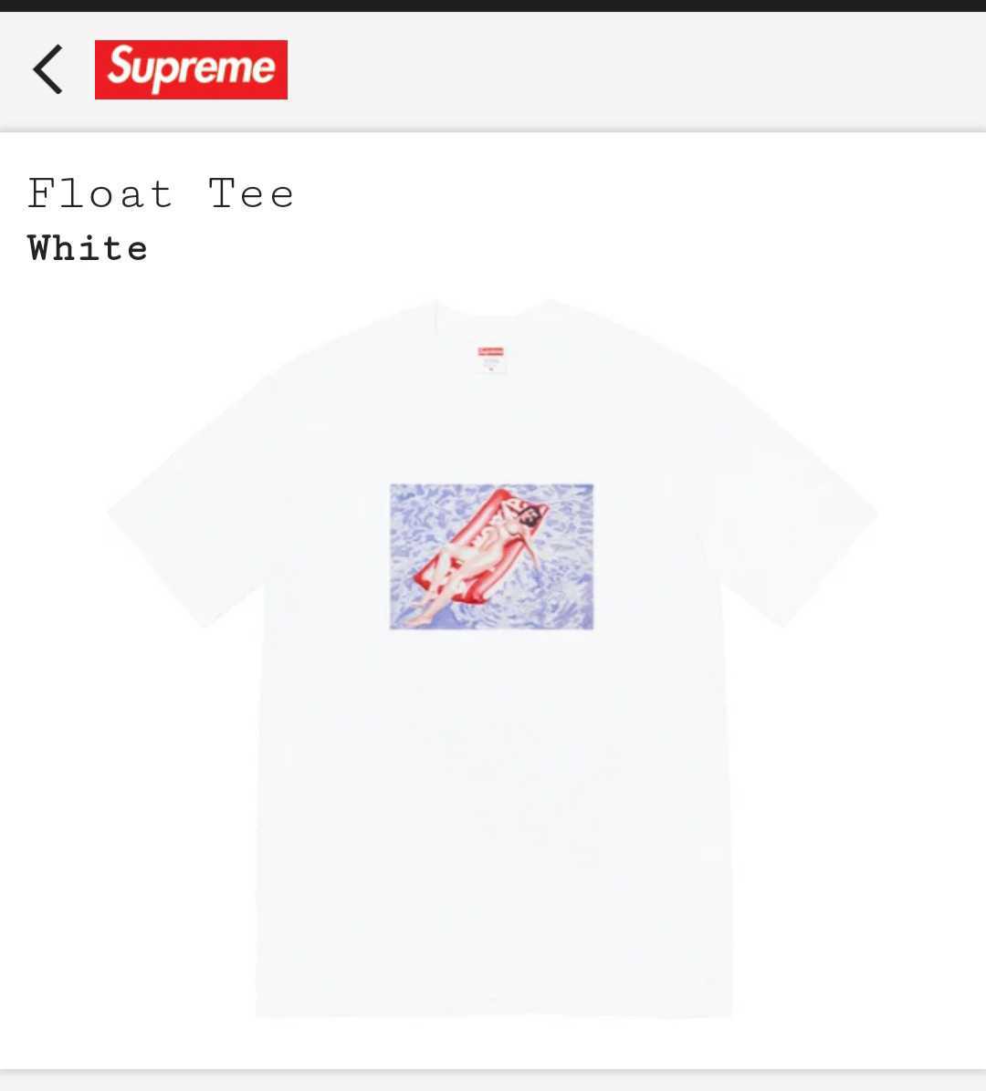 Supreme Float Tee シュプリーム