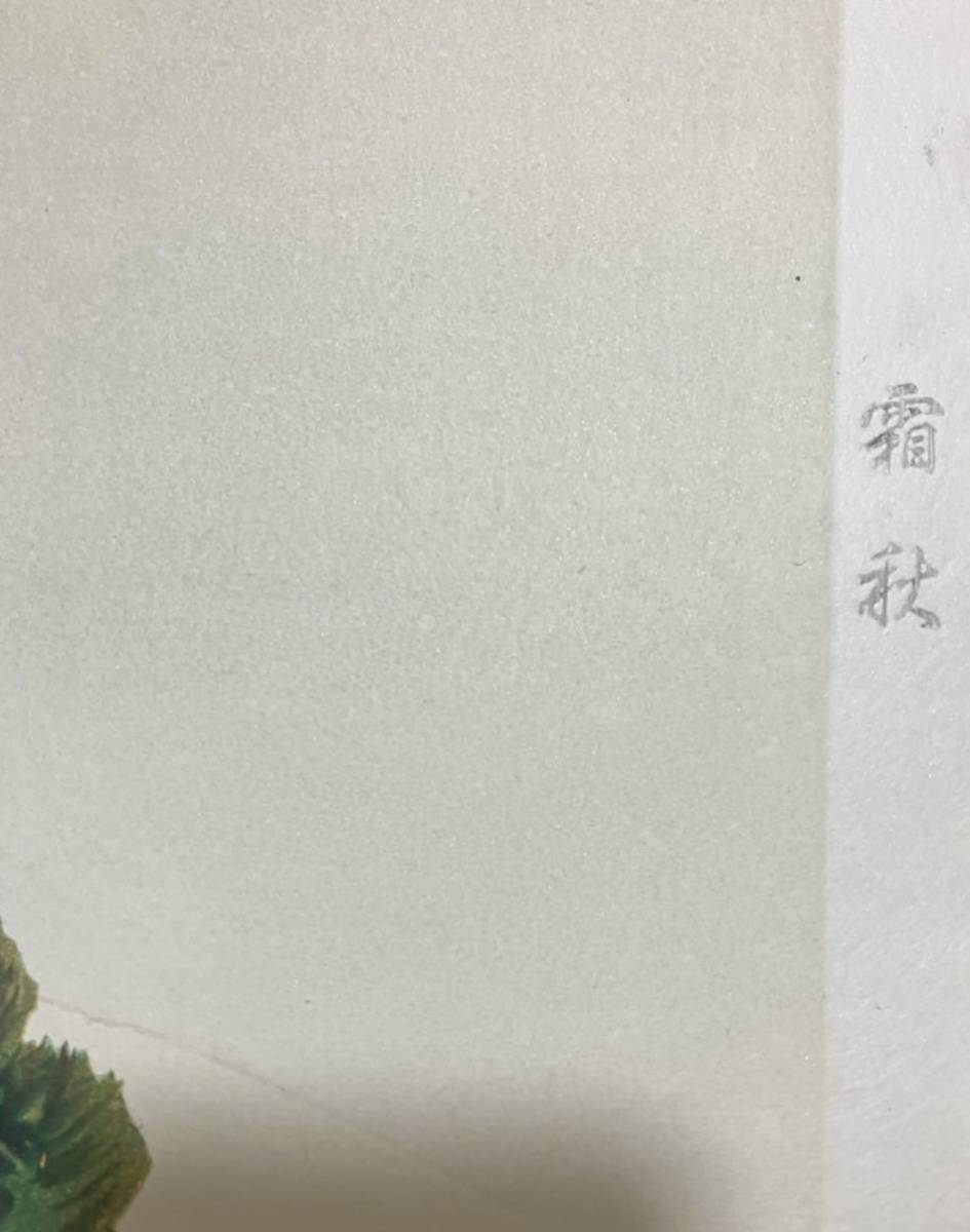 日本画 木版画 10枚まとめて 色紙サイズ 在銘 落款 全美品 花鳥画 風景