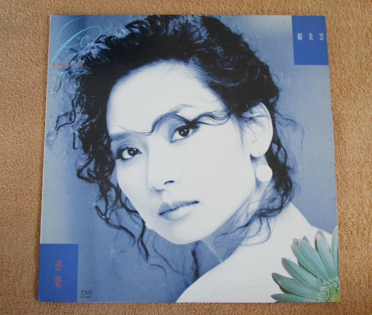 【新作，本物保証】 LP 香港盤 広東語ポップ 廣美雲 Cally Kwong キャリー クォン 感覚 DMI FX 50084 1 1991年(アジアンポップス)｜売買されたオークション情報、yahooの商品情報をアーカイブ公開 - オークファン アジアンポップス