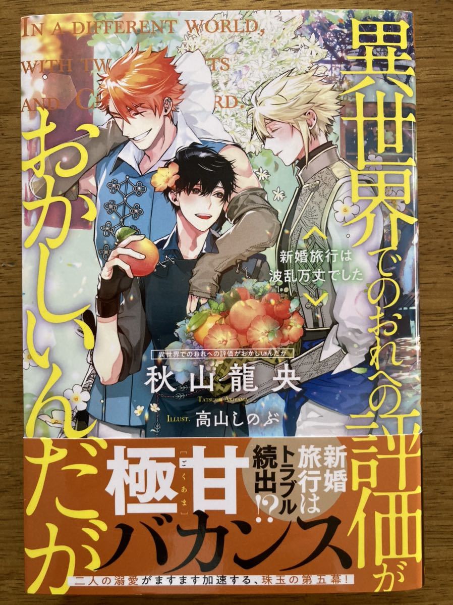 絶品 切手 フレーム Ryoma Oryo 日本最初の新婚旅行 坂本龍馬 お龍 龍馬の手紙 浜之市港 犬飼滝と高千穂峰 霧島連山 霧島神宮 80円 10枚 Paroissesaintmaximin Fr