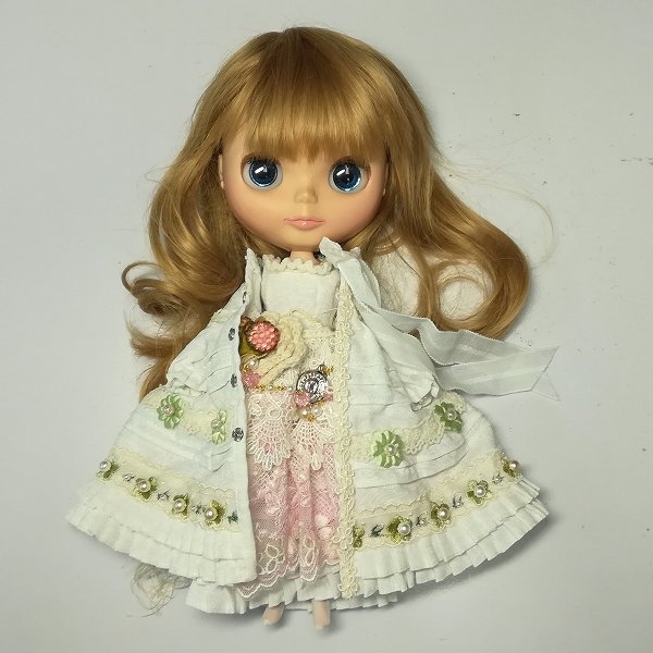 有名作家様 頭皮つけます カスタムブライス （mR684a [人気] カスタム  