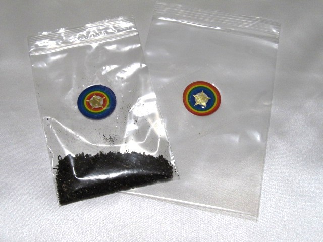 低価，人気 □隕石の粉 10g 宇宙村 隕石パワー ギベオン 開運 健康運