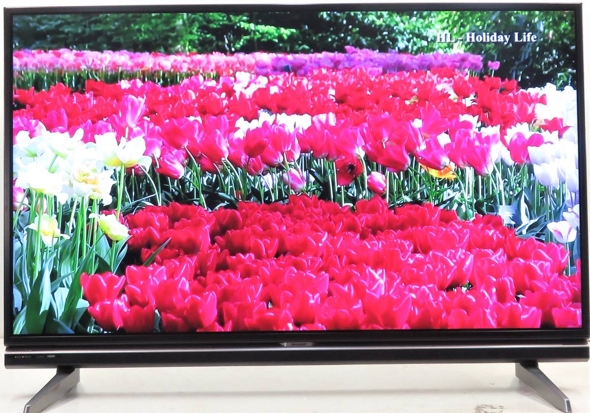 最新作，本物保証】 （1208）SHARP LC-52XL20 50型 ◇ フル