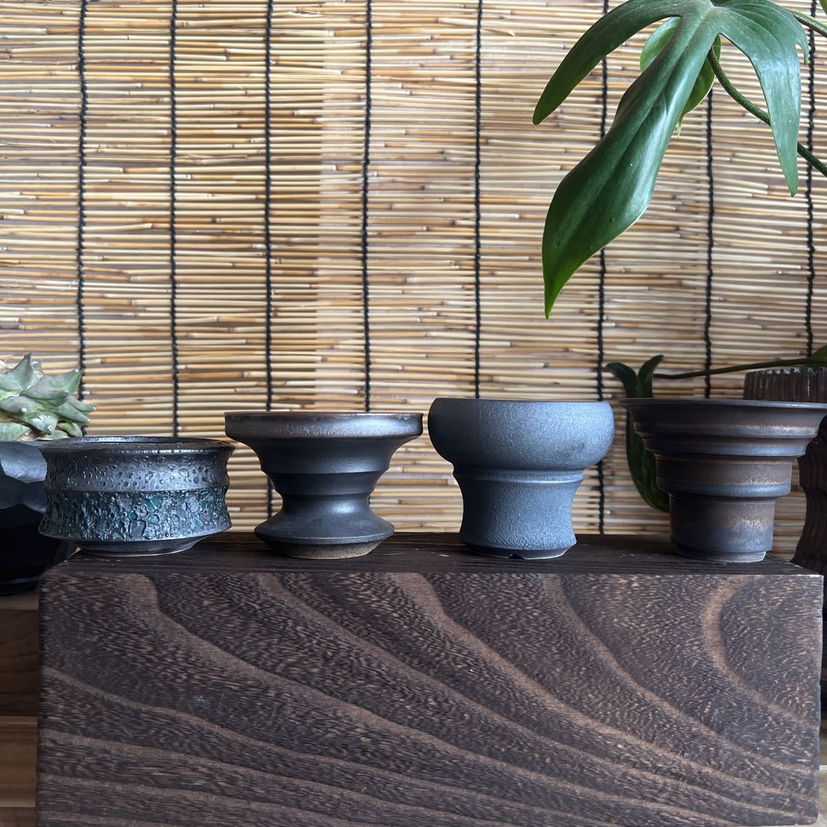 手作り 植木鉢 4点セット検索（カタチ製作所 RLF 塊根植物