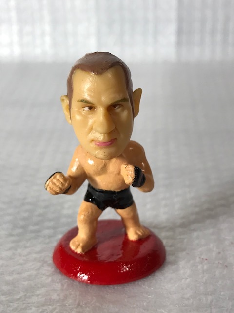 ヒョードル プロ格ヒーローズ プライド リングス 前田日明 総合格闘技