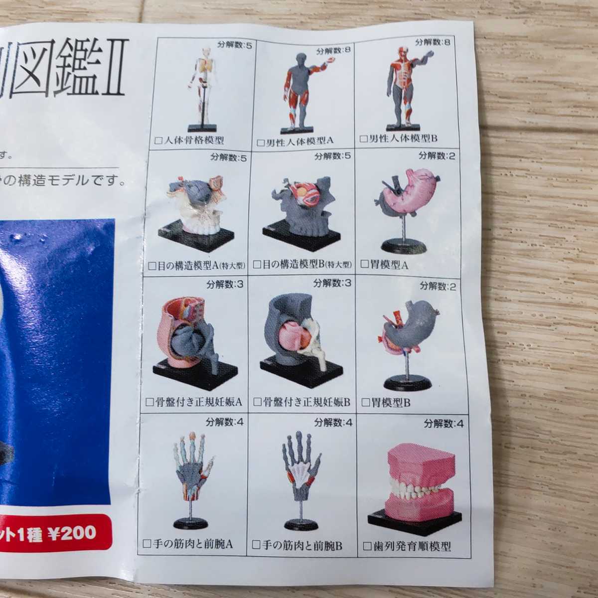 002 原色人体解剖図鑑 完全版 人体解剖図鑑II セット YUJIN(生き物
