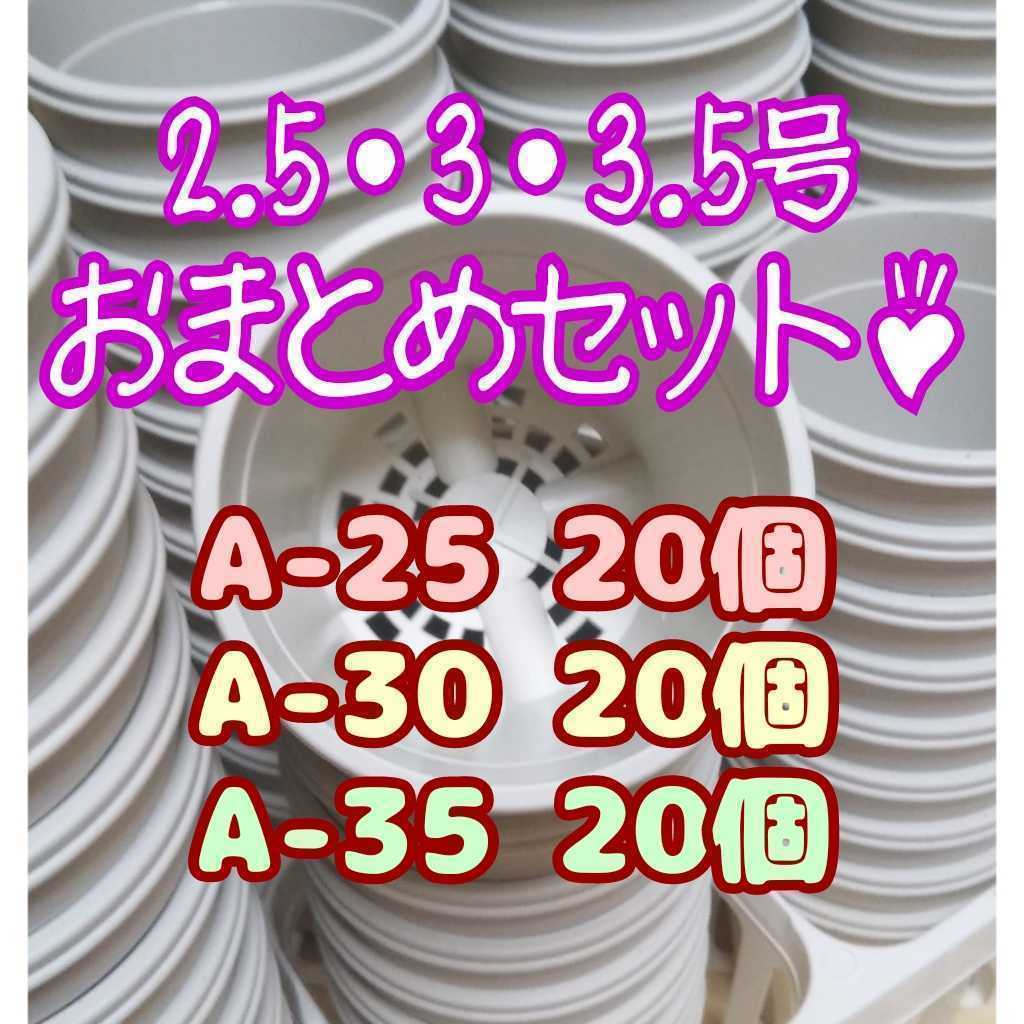 HOT，大得価 プラ鉢60個おまとめセット 2.5号 3号 3.5号鉢 A-25 A-30 A-35 各20個 プレステラ多肉(鉢)｜売買されたオークション情報、yahooの商品情報をアーカイブ公開 - オークファン 鉢