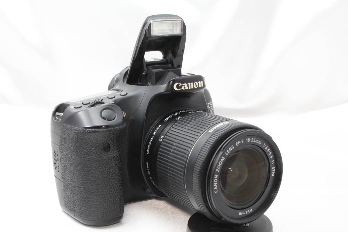 専用☆Canon EF-S 違える 55-250mm IS Ⅱ☆美品○手ぶれ補正