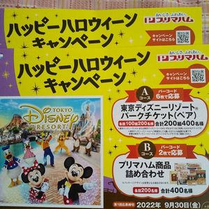 ディズニー大人ペアチケット 17 5 17まで Www Bssbeautyspot Com