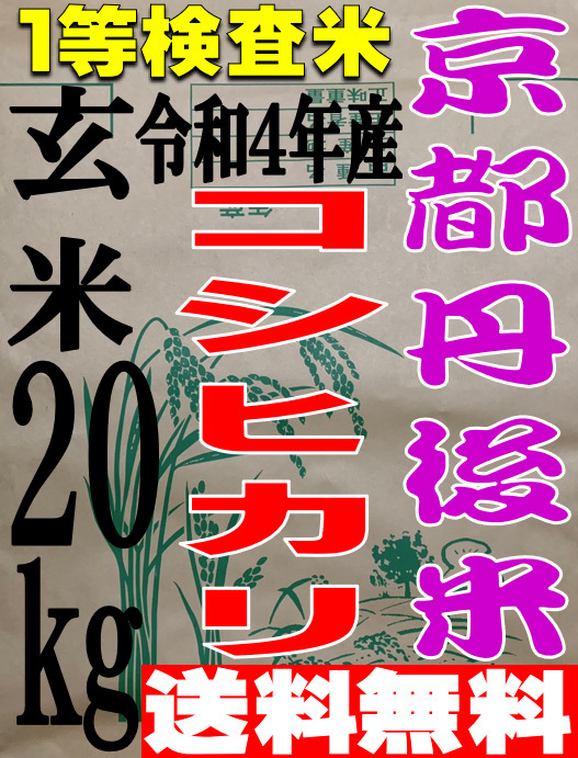 送料無料 一等検査米】 令和4年度産 京都 丹後 コシヒカリ 玄米 20kg
