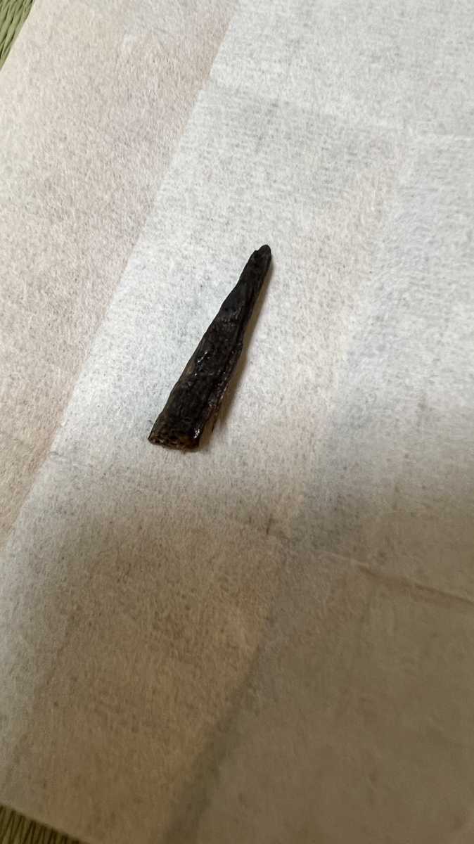 二百種名香　伽羅【銘　薄紅葉　ニア】0.39g 香木 香道具 伽羅 沈香 日本香堂 鳩居堂 お香 松栄堂 聞香　茶道具　お焼香　