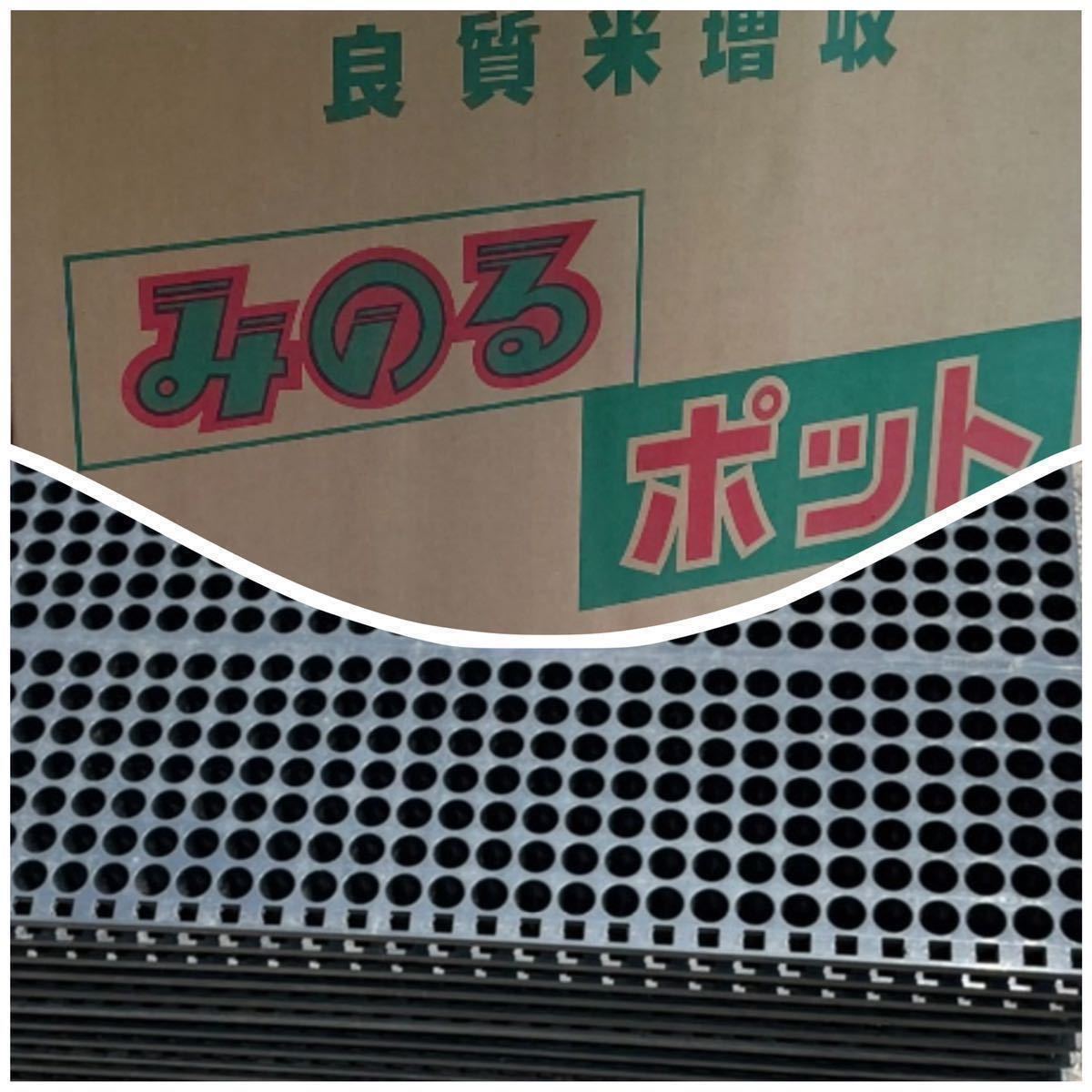 中古品 みのる ポット448育苗箱 30枚（※＋1枚）セット 簡易包装 《No.7》