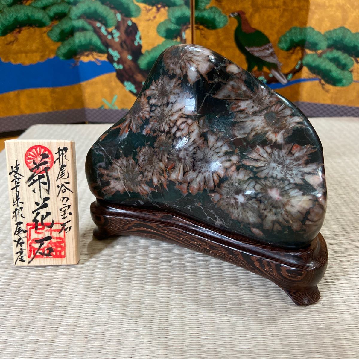 2025，限定セール 白木山の美しい菊花石 ☆ 鑑賞石 菊花石 盆栽