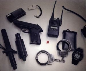 SP エスピー 警視庁警備部警護課第4係 DVD－BOX／岡田准一，真木