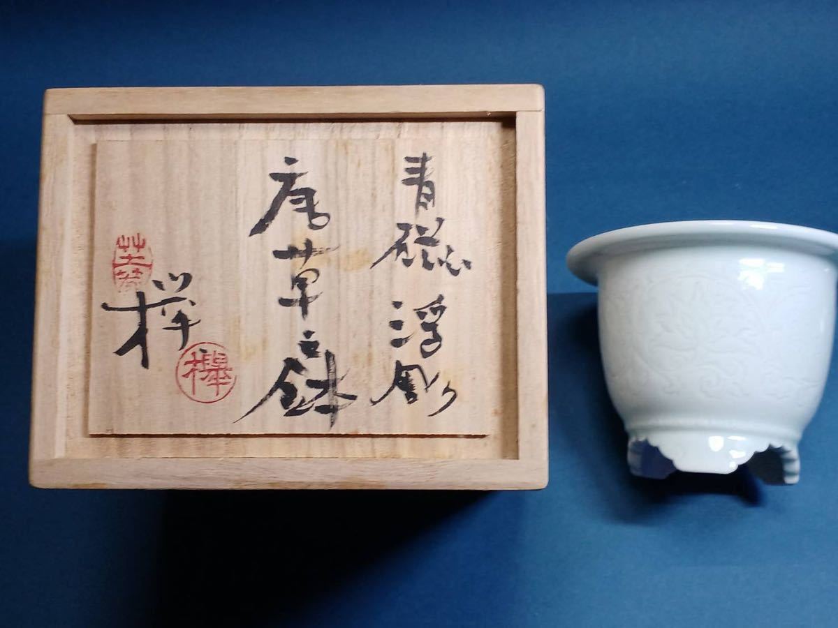 園芸用品 【コレクション鉢】y鉢 高橋康治