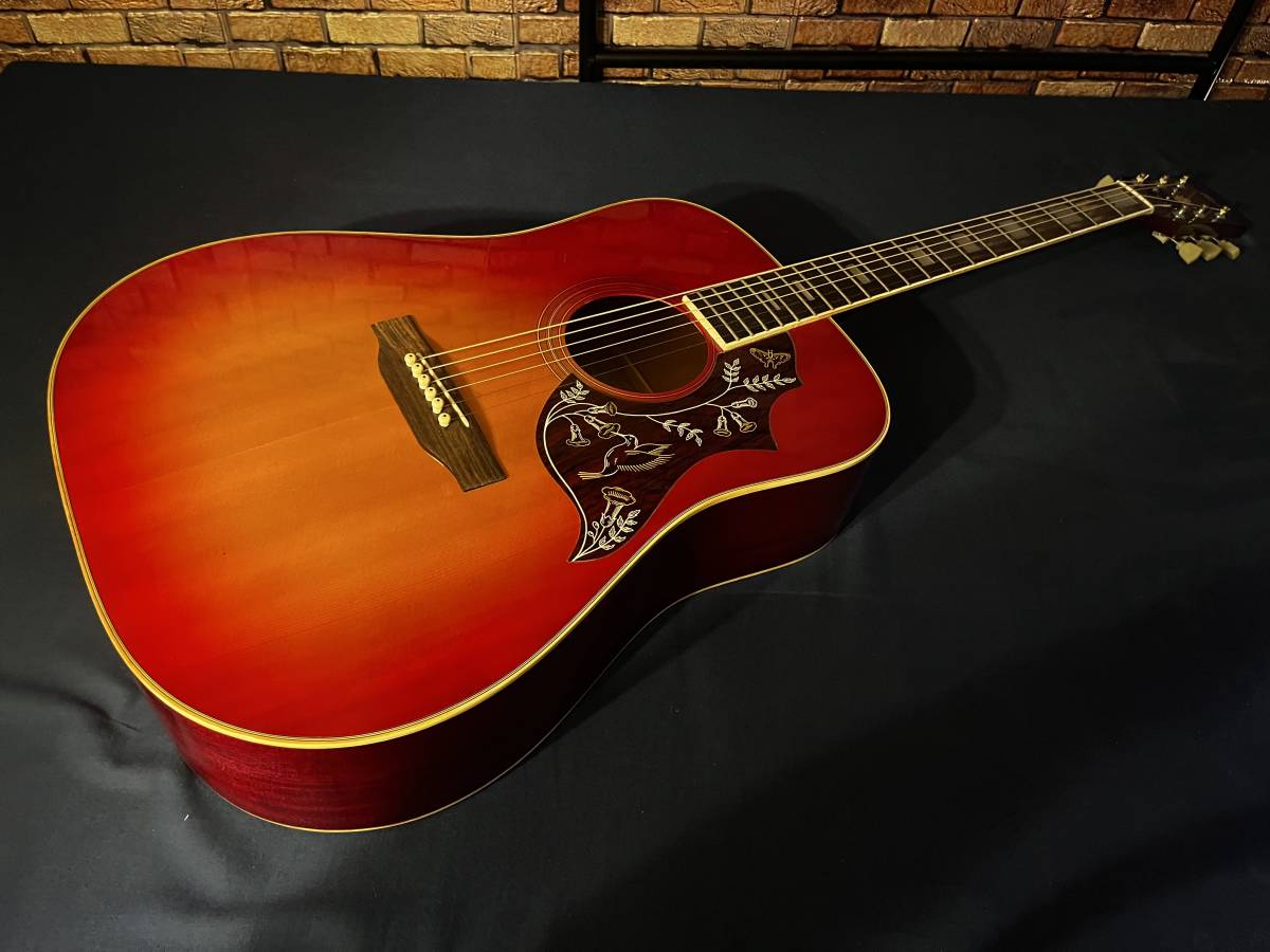 morrisモーリス WH-20 ハミングバードモデル Morris モーリス WH-20 morrisモーリス WH-20 ハミングバードモデル Morris モーリス WH-20