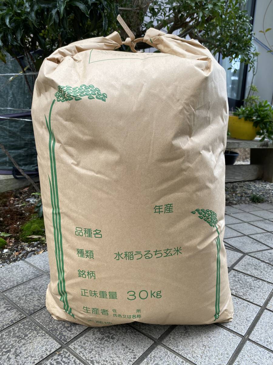 コシヒカリ | 茨城県産 令和7年産 玄米30kg（精米無料 精米 ☆茨城
