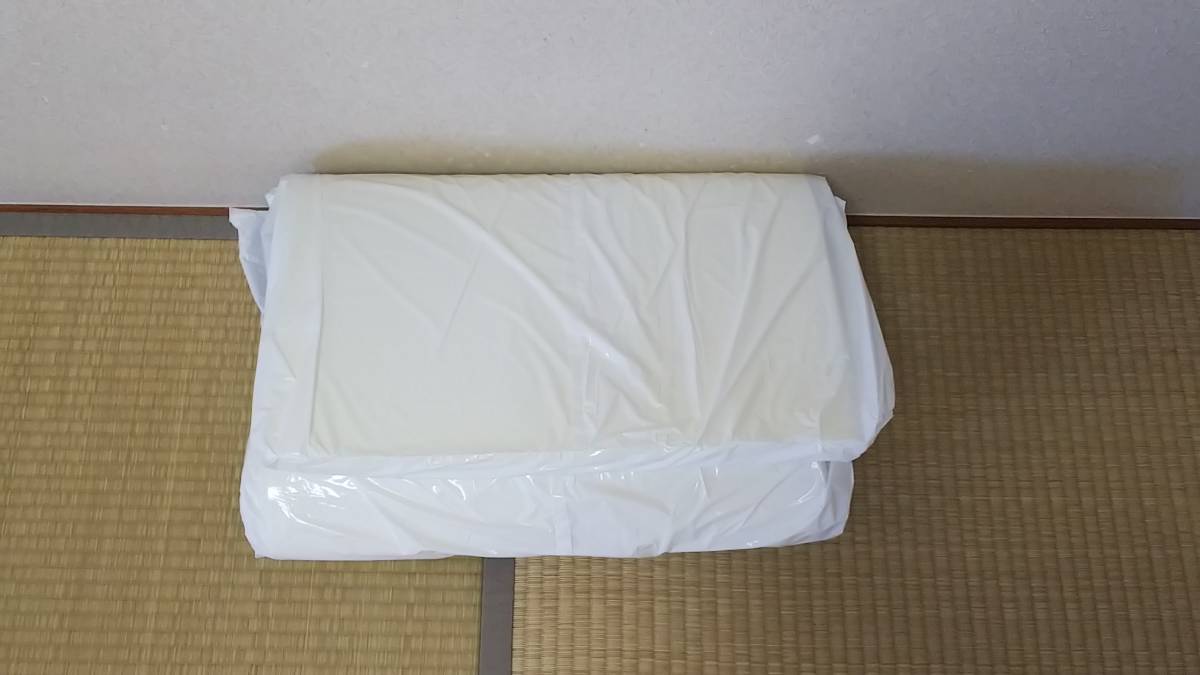 新品，セール ミニトゥルースリーパー トゥルースリーパー ごろ寝マット ショップジャパン 正規品(その他)｜売買されたオークション情報、yahooの商品情報をアーカイブ公開 - オークファン その他