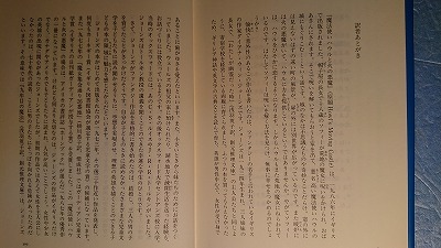 英語(+日語)FT「Howl's Moving Castle/ハウルの動く城 1:魔法使いハウルと火の悪魔」Diana Wynne Jones著_9