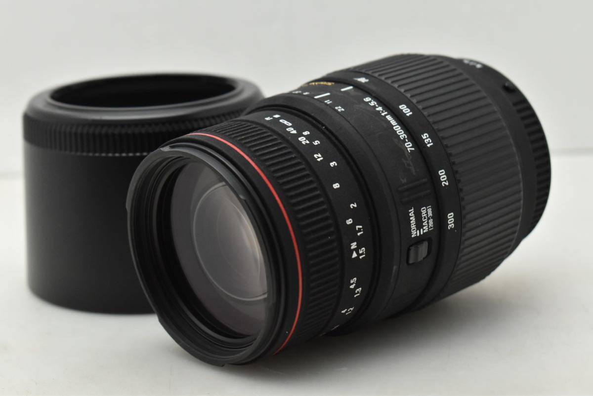 ニコン Nikkor Z 24-70 f4/s | HAMSAMAGAZINE.COM