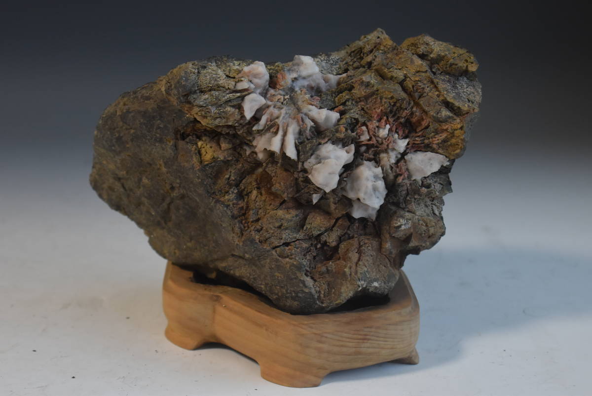 水石 原石 天然石 鑑賞石 盆石 菊花石 自然石 置物 幅19.8cm⁄奥行き