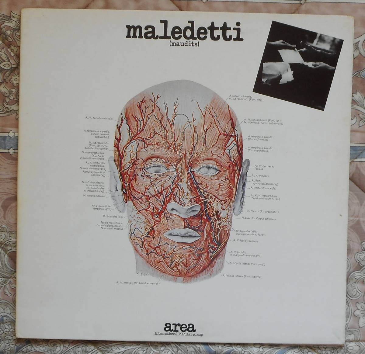  AREA / maledetti 伊 CRAMPS CRSLP 5105 &rsquo;76(一般)｜売買されたオークション情報、yahooの商品情報をアーカイブ公開 - オークファン 一般