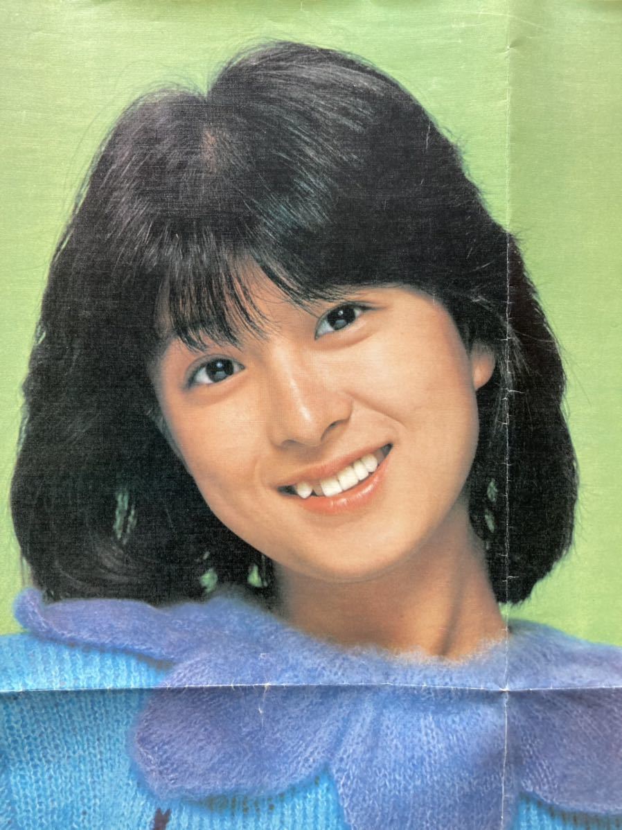 河合奈保子さん 切り抜き16ページ&ポスター セット 水着 ビキニ 80年代