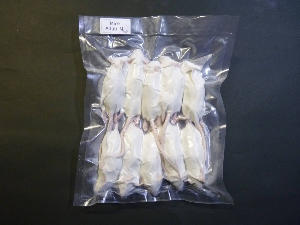 【赤字超特価，新作登場】 国産冷凍マウス アダルトM 50匹(エサ)｜売買されたオークション情報、yahooの商品情報をアーカイブ公開 - オークファン エサ