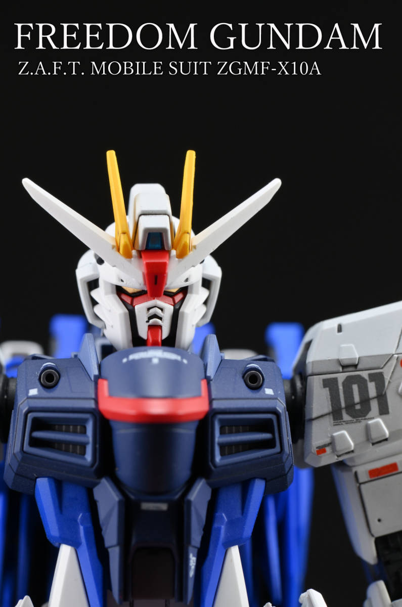 RG フリーダムガンダム　1/144 全塗装 RG 1/144 ZGMF-X10A FREEDOM GUNDAM 全塗装・完成品 フリーダム