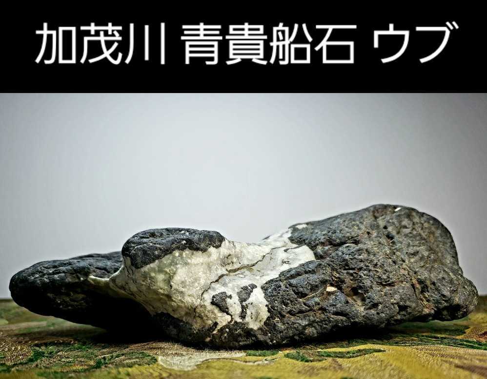 信濃美術石博物館 水石 盆栽 加茂川 青貴船石 ウブ 横20×高7 cm 1.44kg
