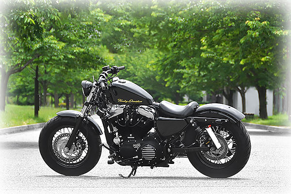 H26年■ハーレーXL1200X■Forty-Eight■豪華一点物■動画あり_1