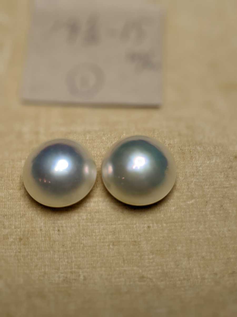 希少オーロラ光沢　マベパール14.5-15mm1ペア①メーカー直販
