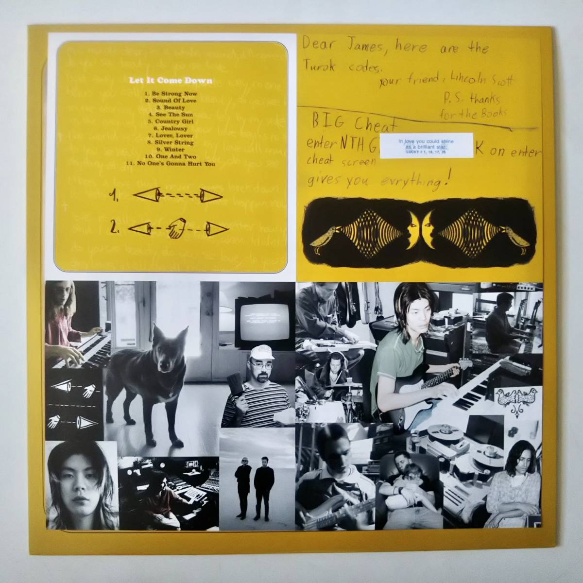 JAMES IHA ジェームス・イハ / LET IT COME DOWN 重量盤LPレコード