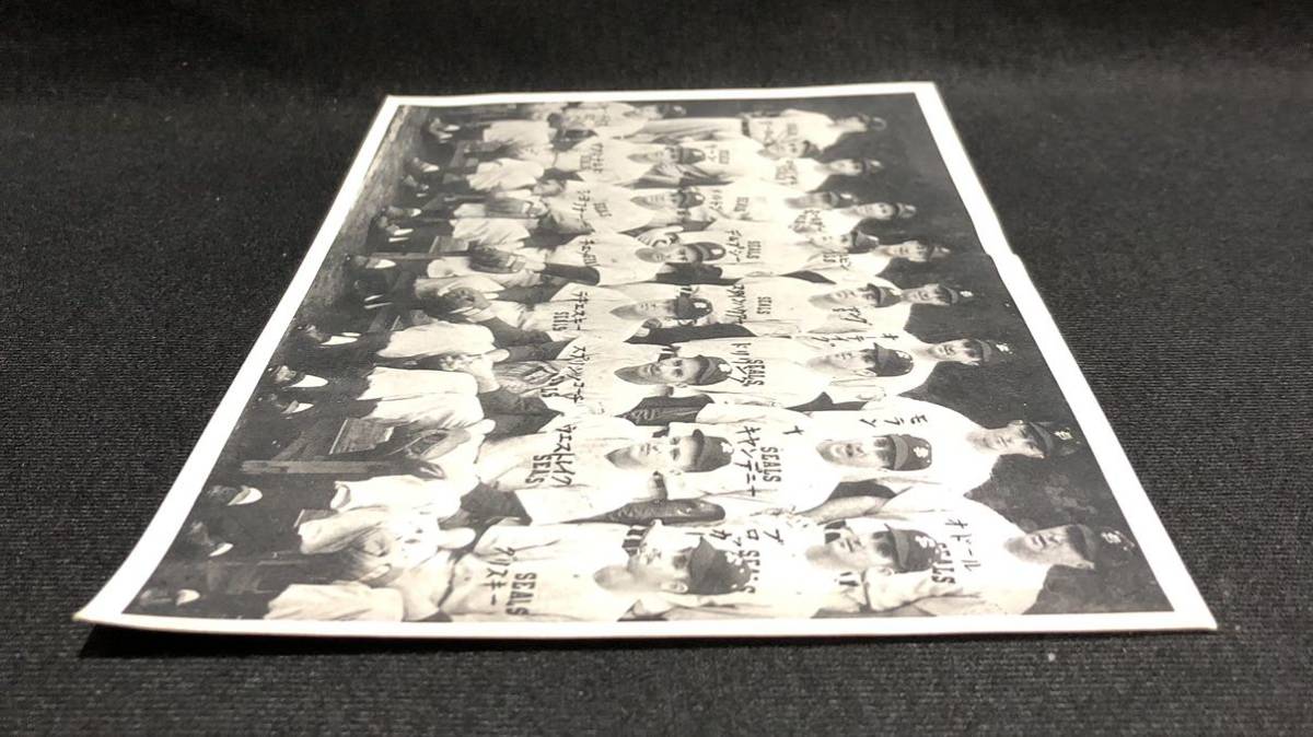 サンフランシスコ シールズ 日本じゅうが湧いた1949年の