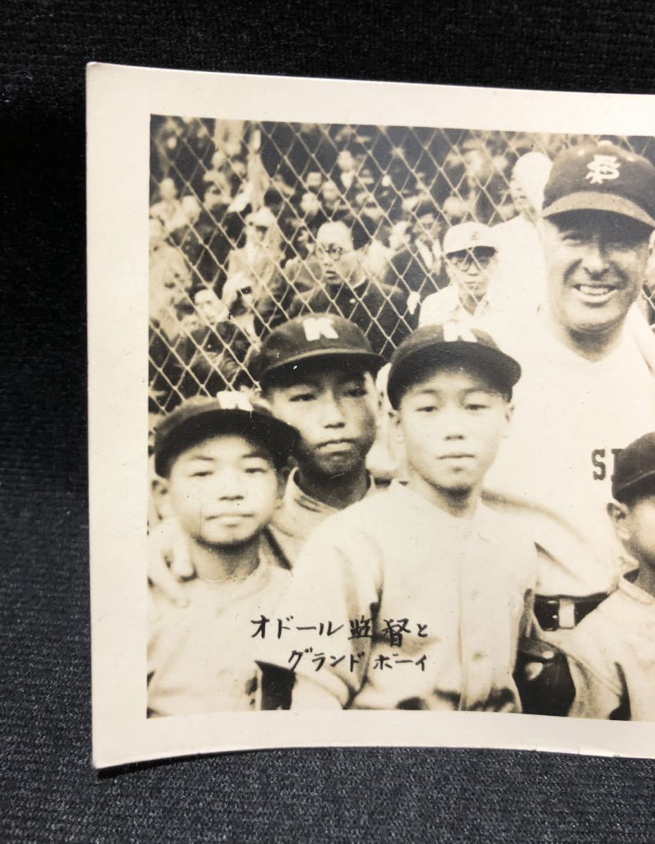 サンフランシスコ シールズ 日本じゅうが湧いた1949年の