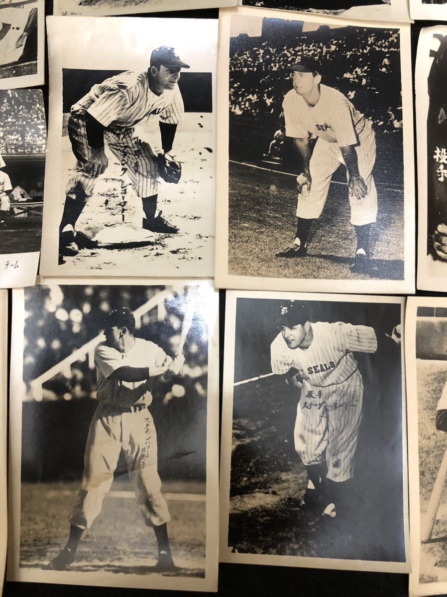 1949年 日米野球来日【サンフランシスコ・シールズ 選手/写真