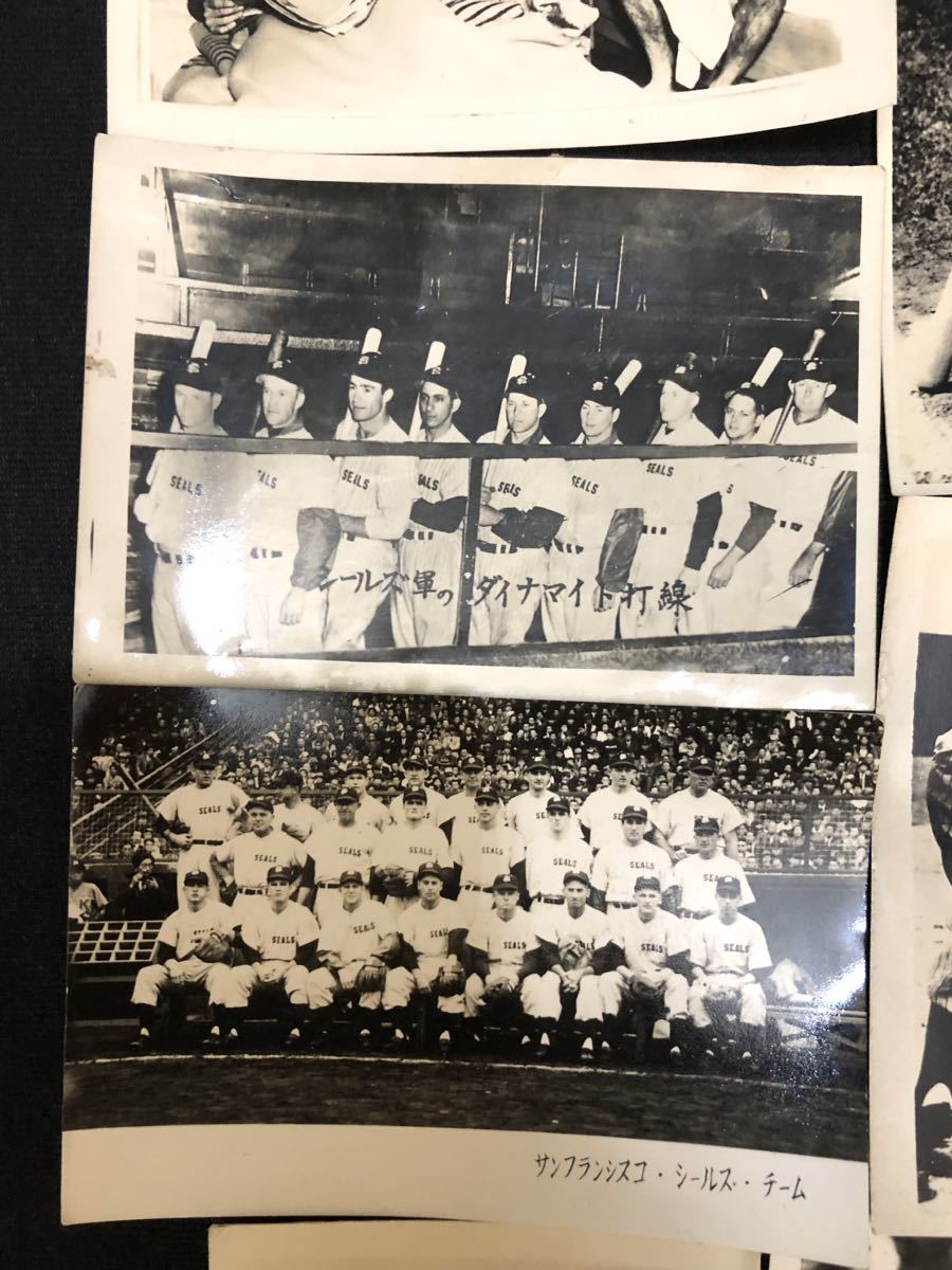 1949年 日米野球来日【サンフランシスコ・シールズ 選手/写真