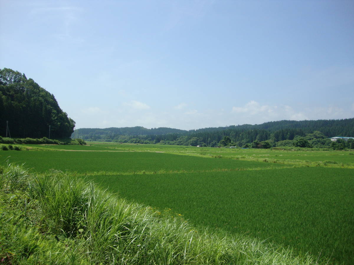 1万年前の神秘の美しさ縄文土器の文様を彫刻した水晶を 縄文時代中期 ～ツアーをより楽しむための古代史講座～ – 歴史を 円盤形土製品 文化遺産オンライン 遥か縄文の記憶を身近にシルバーの国宝の土偶＆火焔型土器 e国宝 - 土偶