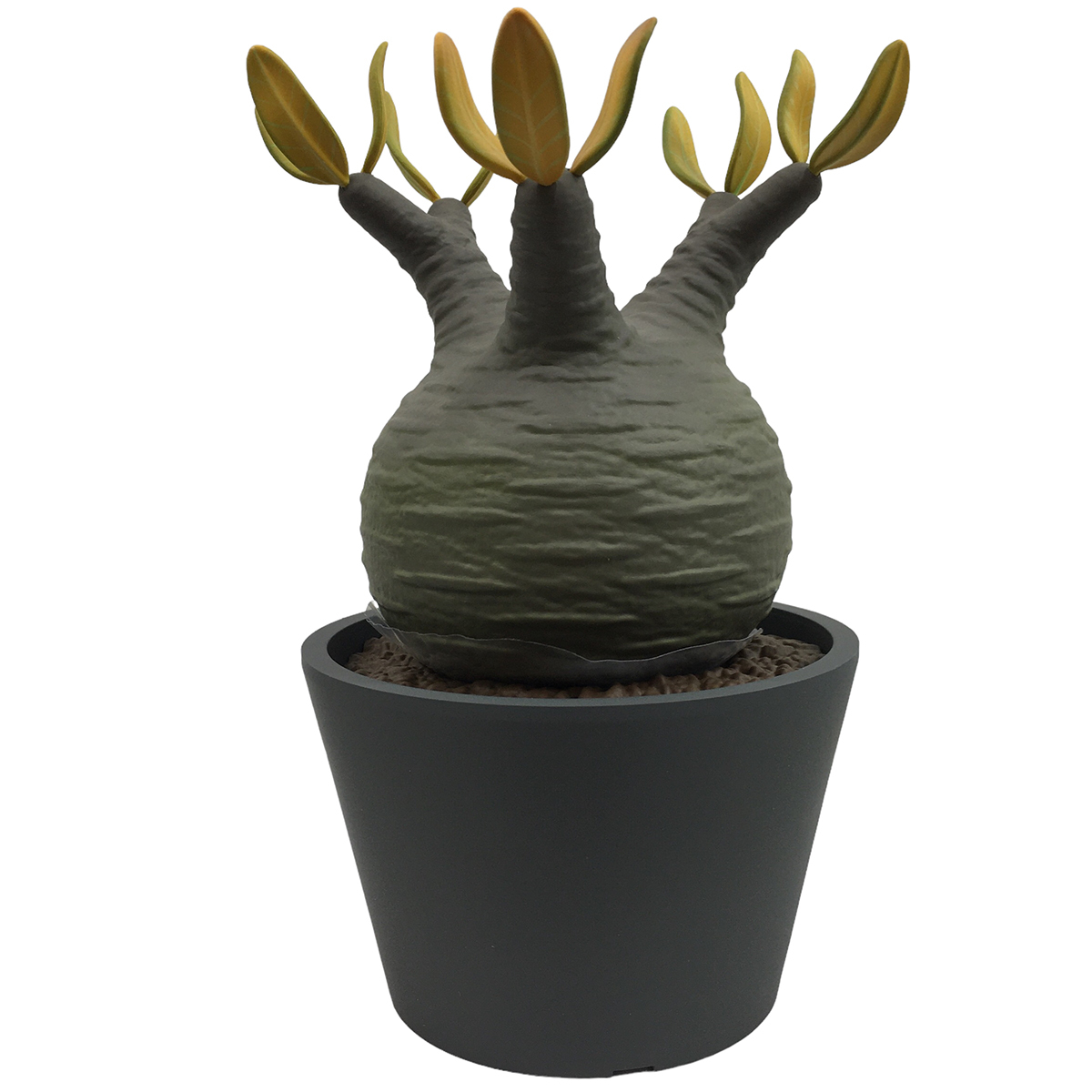 MEDICOM TOY VCD BOTANIZE × Pachypodium rosulatum Botanize 公式通販 var. gracilius Gracilius – | Version MONOTONE