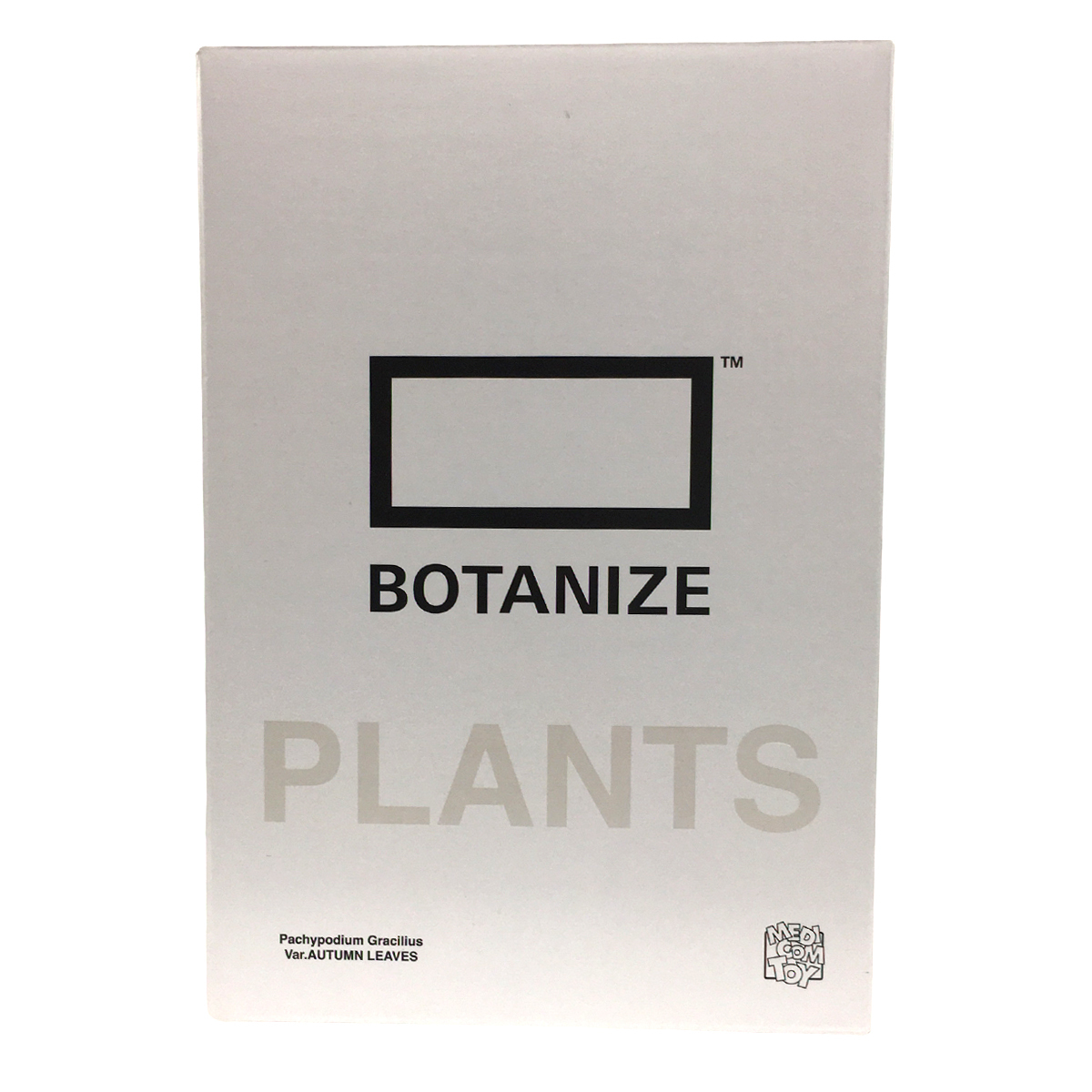 MEDICOM TOY VCD BOTANIZE × Pachypodium rosulatum Botanize 公式通販 var. gracilius Gracilius – | Version MONOTONE
