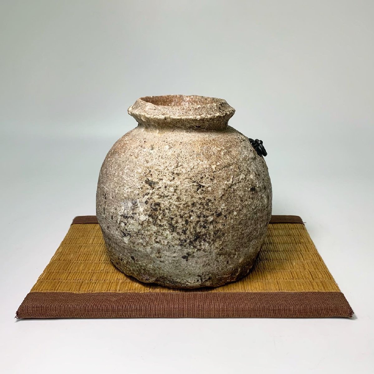 杉本貞光 寺垣外窯 立花大亀 信楽 共箱 - 茶道具 Yahoo!オークション