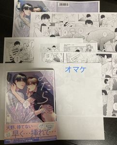 嶋二 【 災厄にして惑わず ラブインルームシェア （初版） 】 みだらな ...