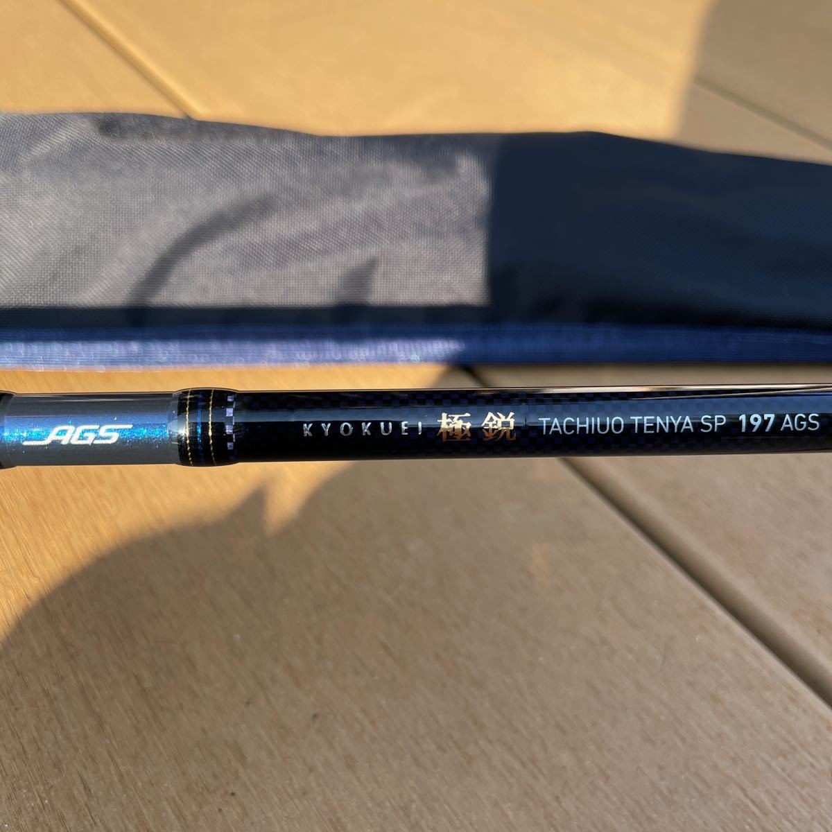 DAIWA 極鋭 TACHIUO TENYA SP 197AGS 極鋭タチウオテンヤSP 197ABS