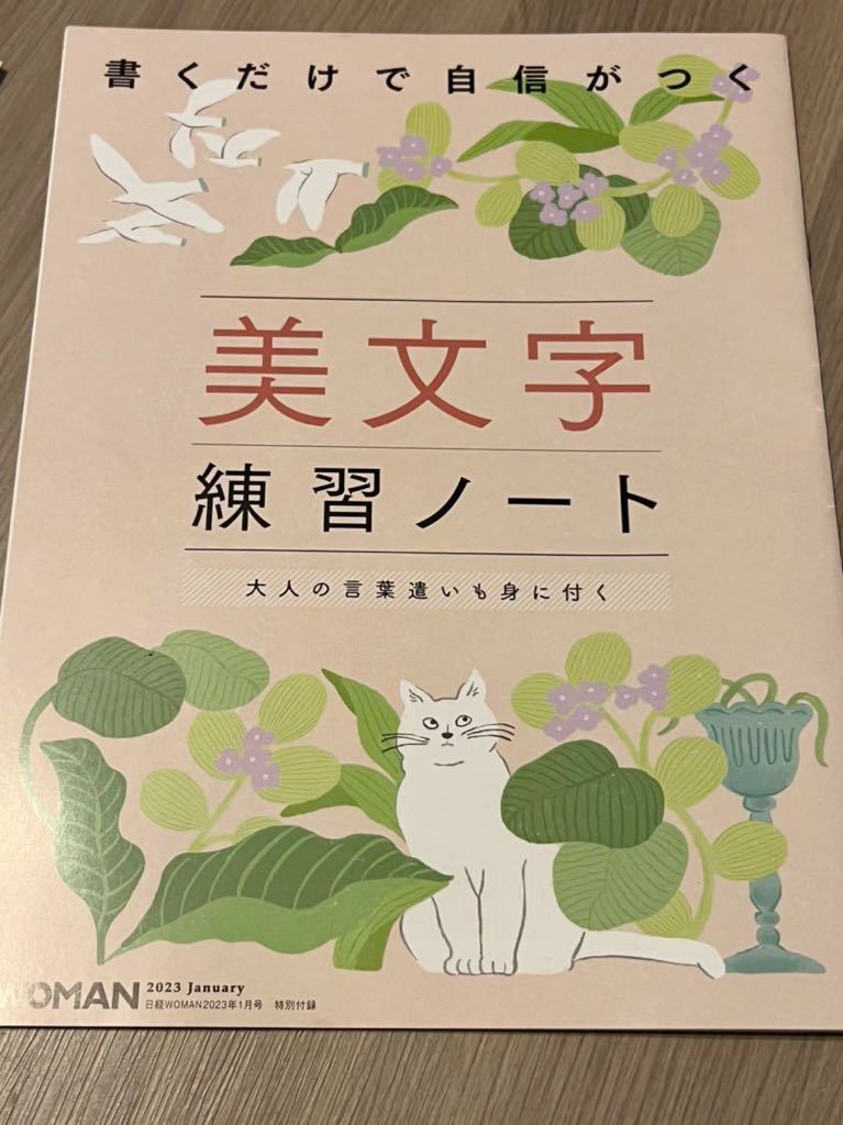 文字練習の値段と価格推移は 71件の売買情報を集計した文字練習の価格や価値の推移データを公開