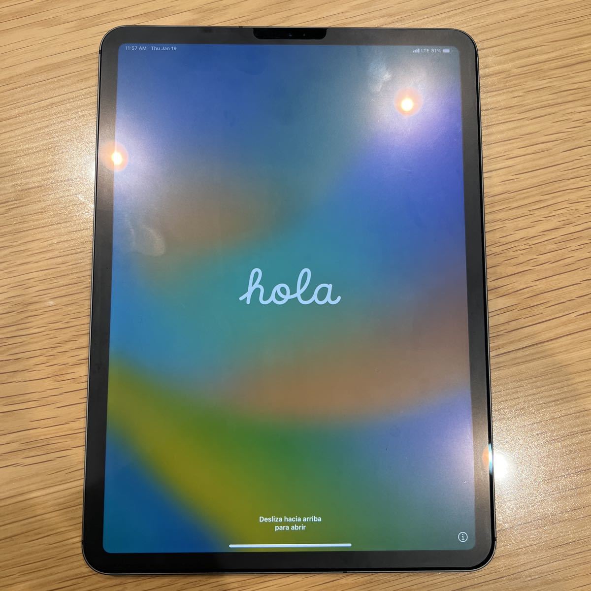iPad Pro 1TB SIMフリー 第1世代 スペースグレイ Apple Cellular