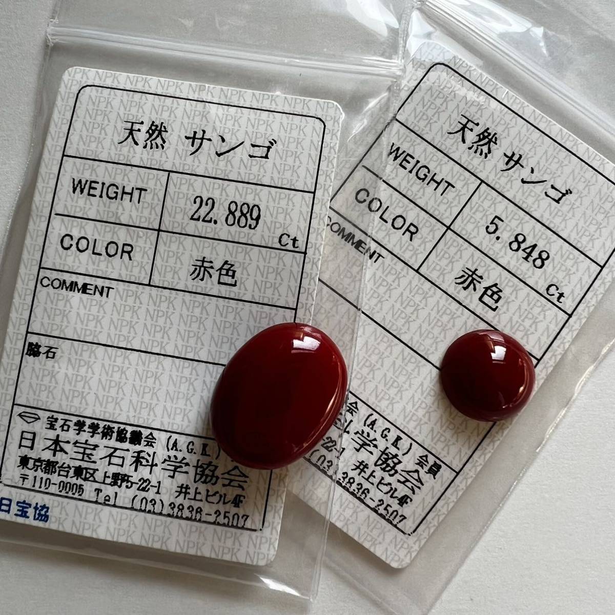 1円~【ルースまとめ売り】赤珊瑚2点 28.737ct 5.45 g血珊瑚 白珊瑚